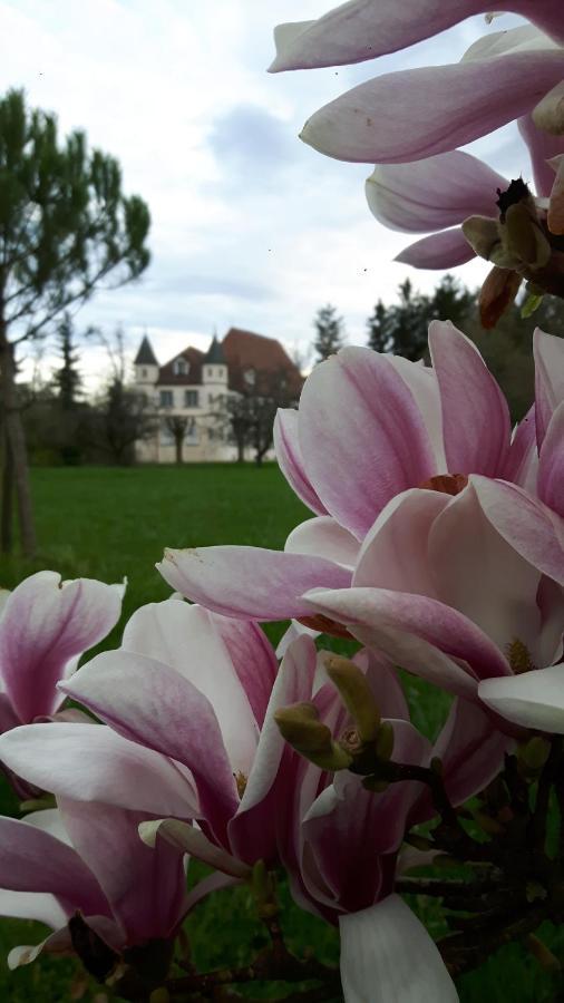 Chateau De Werde Matzenheim Exteriör bild
